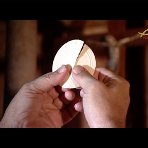 وثائقي "شربل أرزة القديسين" (تيلي لوميار)